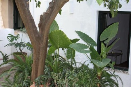 Las Jimenas